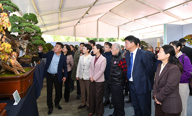 DSC_5169 拷贝.jpg
